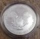 2007 W $1 American Silver Eagle 