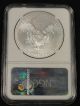 2013 American Silver Eagle Coin Ngc Ms69 5 - 020 Silver photo 2