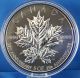 2013 Maple Leaf 5 Oz.  $50 Fine Silver Reverse Proof 25th Anniversary,  Only 2,  500 Coins: Canada photo 4