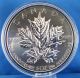 2013 Maple Leaf 5 Oz.  $50 Fine Silver Reverse Proof 25th Anniversary,  Only 2,  500 Coins: Canada photo 6