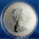 2013 Maple Leaf 5 Oz.  $50 Fine Silver Reverse Proof 25th Anniversary,  Only 2,  500 Coins: Canada photo 7