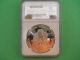 1993 P Silver American Eagle Pf69 Uc Ngc Brown Label Silver photo 1
