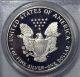 1988 - S American Eagle Silver Dollar Pr69 Dcam Pcgs Proof 69 Deep Cameo Silver photo 3