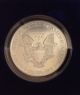 American Eagle 1999 Silver Dollar Liberty Painteduncirculated.  999 Silver Silver photo 2