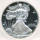 2007 - W U.  S.  Silver American Eagle Proof Coin ++ngc Pr - 70 W/ Ultra Cameo++ Silver photo 2