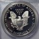 1991 - S American Eagle Silver Dollar Pr69 Dcam Pcgs Proof 69 Deep Cameo Silver photo 3