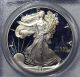 1993 - P American Eagle Silver Dollar Pr69 Dcam Pcgs Proof 69 Deep Cameo Silver photo 1
