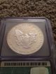 1986 - S $1 Silver Eagle Proof Bullion Coin - - Icg Pr69 Silver photo 1