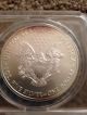 2008 $1 Silver Eagle Bullion Coin Anacs Ms - 70.  Graded Perfect - - Nr Silver photo 1