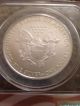 2009 $1 Silver Eagle Bullion Coin Anacs Ms - 70.  Graded Perfect - - Nr Silver photo 1