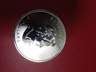 2014 Canada 1 Oz Silver Maple Leaf Horse Privy Reverse Proof $5.  9999 Silver photo