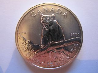 2012 Canadian Wildlife Series Cougar 1 Oz Silver Coin photo
