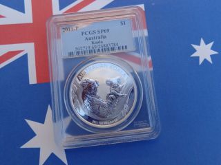 2011 Australian Koala Pcgs Sp69 Perth.  999 Fine Silver photo