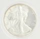 2003 W American Silver Eagle Proof Coin - 1oz.  999 Fine Dollar Ase Box Silver photo 2