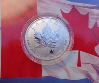 2004 1/2 Oz.  Canadian Rcm Privy Maple Leaf.  999 Fine Silver Airtight photo