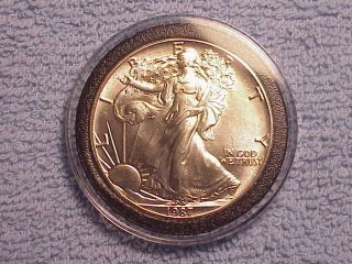 1987 American Silver Eagle Bu 1 Oz Silver Coin photo