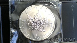2011 9999 Fine Silver Troy Oz.  Maple Leaf photo