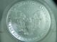 1989 1 Oz American Silver Eagle $1 Bullion Coin - Uncirculated Silver photo 7