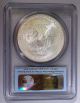 2012 (s) Silver Eagle Struck At San Francisco Pcgs Ms69 First Strike Silver photo 1