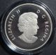 2013 - 1/2 Oz $10 Canada Niagara Fall Bullion Fine Proof Silver Coin With Coins: Canada photo 1