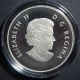 2013 - 1/2 Oz $10 Canada Summer Fun Bullion Fine Proof Silver Coin With Coins: Canada photo 1