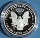2007 Proof Silver Eagle And Silver photo 1