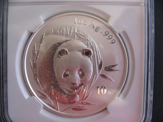 Bu Ms69 Ngc - 2003 China Panda 10 Yuan Silver Bullion Coin,  Frosted Bamboo photo