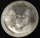 1995 American Silver Eagle Bullion Coin Key Date Uncirculated Nr Silver photo 2