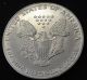 1987 American Silver Eagle Bullion Coin Key Date Uncirculated Nr Silver photo 3
