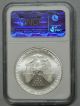 2005 American Silver Eagle Dollar 1 Oz Fine Silver Ms 69 Ngc Silver photo 1