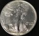 1992 American Silver Eagle Bullion Coin Key Date Investment Grade 1 Oz Silver Silver photo 1