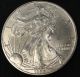 1997 American Silver Eagle Bullion Coin Key Date Investment Grade 1 Oz Silver Silver photo 1