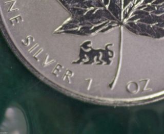 1998 Canada Tiger Privy Sml Coin 99.  99% Silver Reverse Proof - Plastic photo