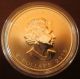2013 - Canada 25 Anniversary.  999 Silver Maple Leaf.  Limited Mintage Silver photo 1
