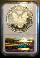 2008 W Silver Eagle $1 Ngc Pf70 Ultra Cameo 1 Oz Ounce Flawless Silver photo 1