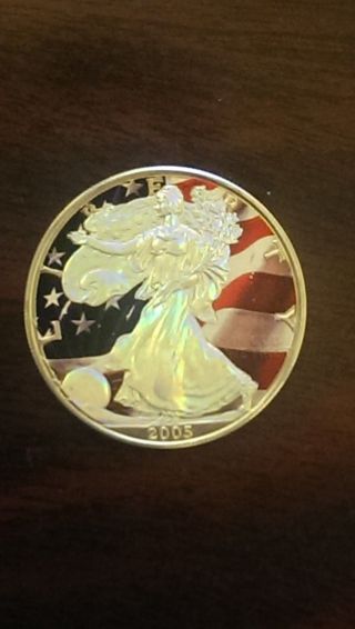 2005.  999 Fine Silver American Eagle (pride Of America) photo