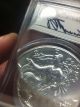 2012 Silver Eagle John Mercanti West Point Ms 70 Fs Double Die Error.  Very Rare Silver photo 4