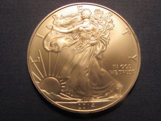 2014 American Eagle 1 Oz Ounce Silver Uncirculated Coin photo