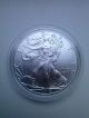 Usa American Silver Eagle 1 Dollar 2013 1 Oz Silver Silver photo 1
