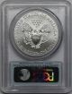 2014 Silver Eagle $1 Ms 70 Pcgs First Strike Flag Label Silver photo 1