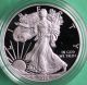 2014 W American Silver Eagle Proof Dollar Us Ase Coin & Silver photo 4
