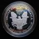 2010 - W $1 Proof Silver American Eagle One Ounce Coin (w/box &) Silver photo 1