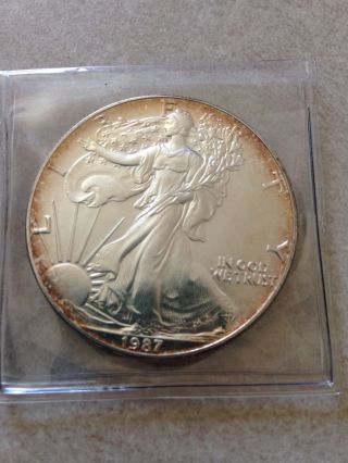 1987 Silver American Eagle With Natural Toning photo