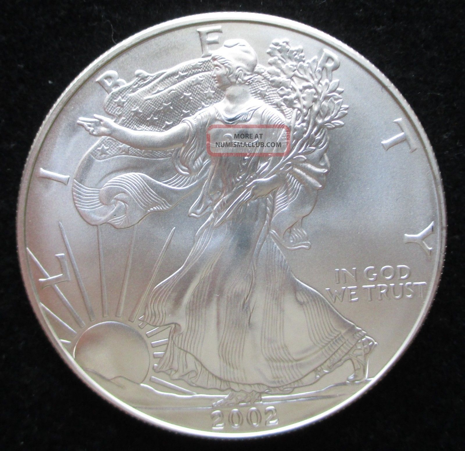 2002 Silver American Eagle One Dollar 1 Oz Uncirculated