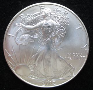 2002 Silver American Eagle One Dollar 1 Oz.  Uncirculated photo