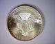 Error Missing Metal Lamination Uncirculated 1998 American Silver Eagle Dollar Silver photo 1