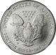 2007 - W Burnished Silver Eagle Dollar $1 Ms 69 Ngc 1 Oz Silver Silver photo 3