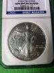 2007 S$1 Ngc Early Release American Silver Eagle Gem Uncirculated Silver photo 4