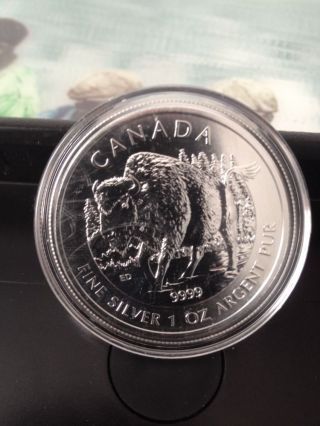 2013 Silver Wood Bison 1 Troy Ounce Of.  999 Silver - Canadian Coin photo