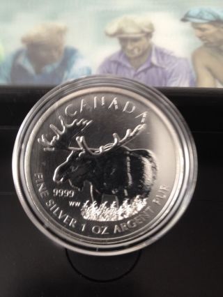 2012 Silver Moose 1 Troy Ounce Of.  999 Silver - Canadian Coin photo